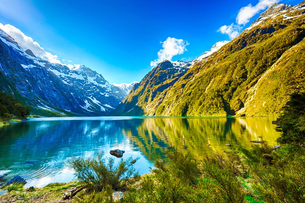 Gửi hàng đi New Zealand bằng đường tàu giá rẻ siêu tốc