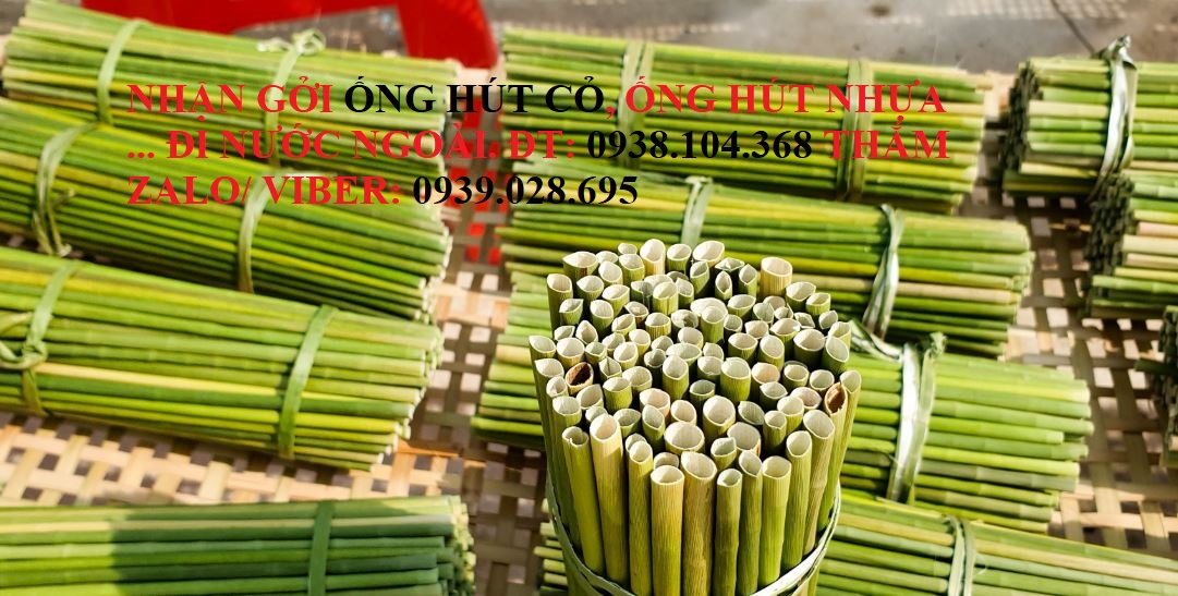 vận chuyển ống hút tre đi Mỹ uy tín
