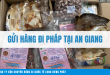 Gửi hàng đi Pháp tại An Giang