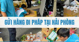 Gửi Hàng Đi Pháp Tại Hải Phòng