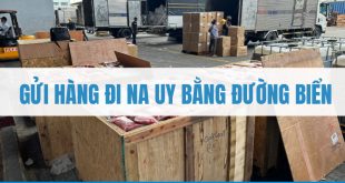 gửi hàng đi Na Uy bằng đường biển