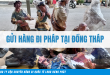 gửi hàng đi Pháp tại Đồng Tháp 