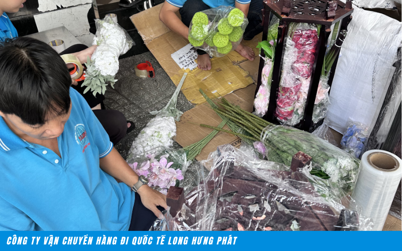 Gửi Hàng Đi Pháp Tại Sóc Trăng