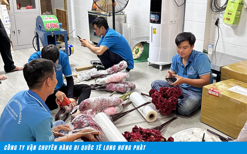 Gửi Hàng Đi Pháp Tại Trà Vinh 