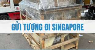 Gửi Tượng Đi Singapore